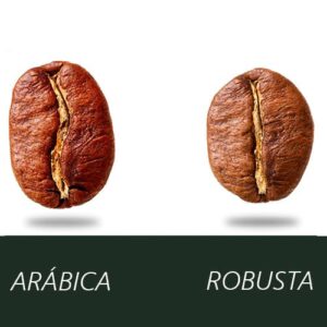 Diferencia entre café arábica y robusta